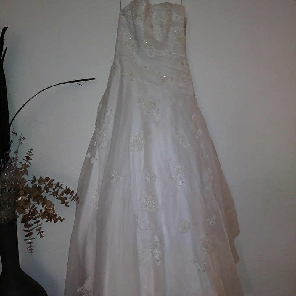 David's Bridal Wedding Dress